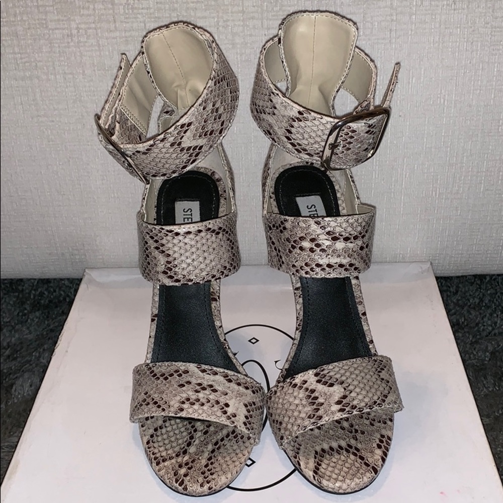 Steve Madden Mysterii